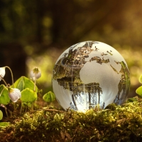 SATO belooft CO2-neutraliteit tegen 2050